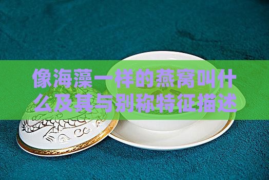 像海藻一样的燕窝叫什么及其与别称特征描述