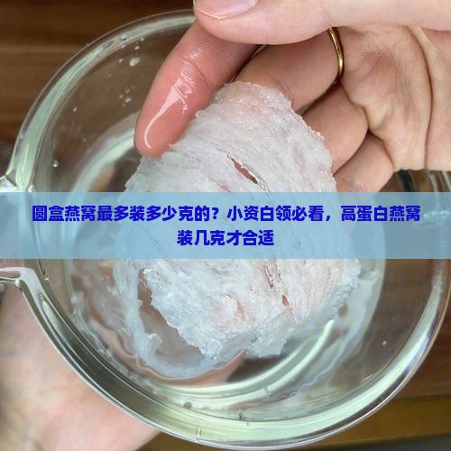 圆盒燕窝最多装多少克的？小资白领必看，高蛋白燕窝装几克才合适