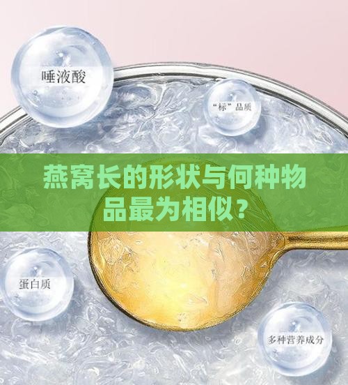 燕窝长的形状与何种物品最为相似？