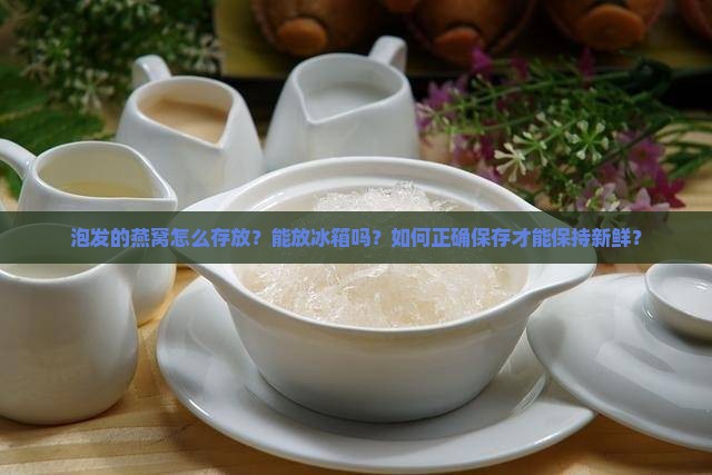 泡发的燕窝怎么存放？能放冰箱吗？如何正确保存才能保持新鲜？