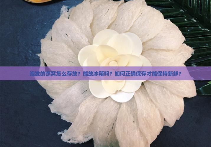 泡发的燕窝怎么存放？能放冰箱吗？如何正确保存才能保持新鲜？