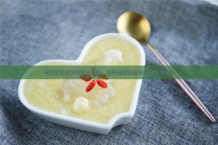毛燕窝用多少度的水泡好，如何选择合适水温泡发毛燕窝