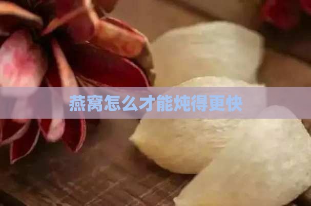 燕窝怎么才能炖得更快