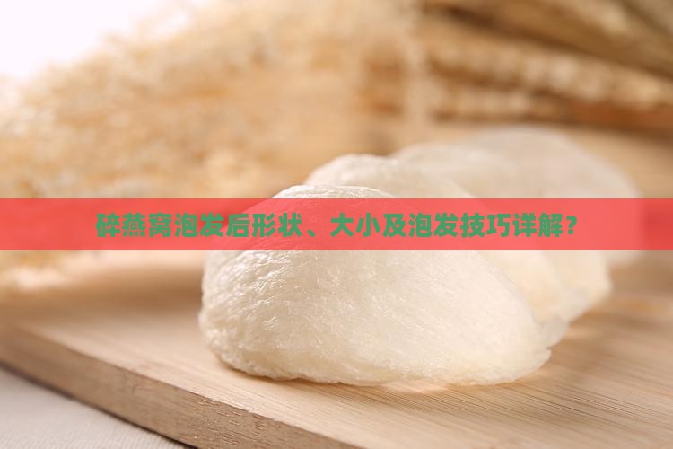 碎燕窝泡发后形状、大小及泡发技巧详解？