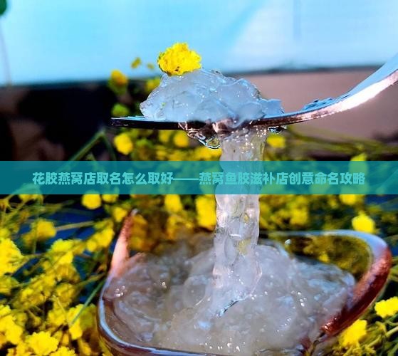 花胶燕窝店取名怎么取好——燕窝鱼胶滋补店创意命名攻略