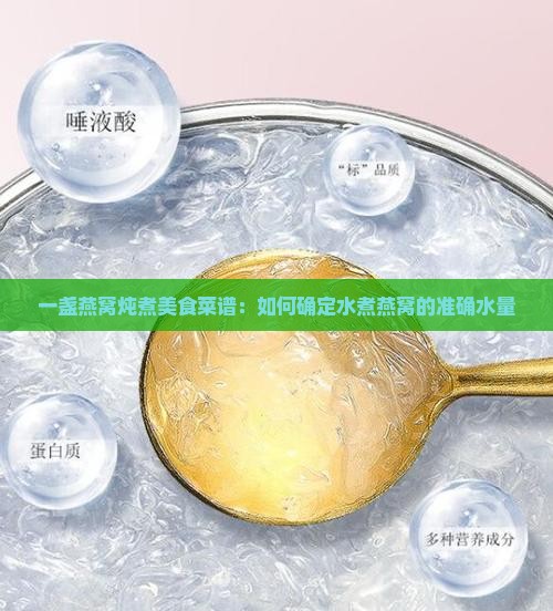 一盏燕窝炖煮美食菜谱：如何确定水煮燕窝的准确水量