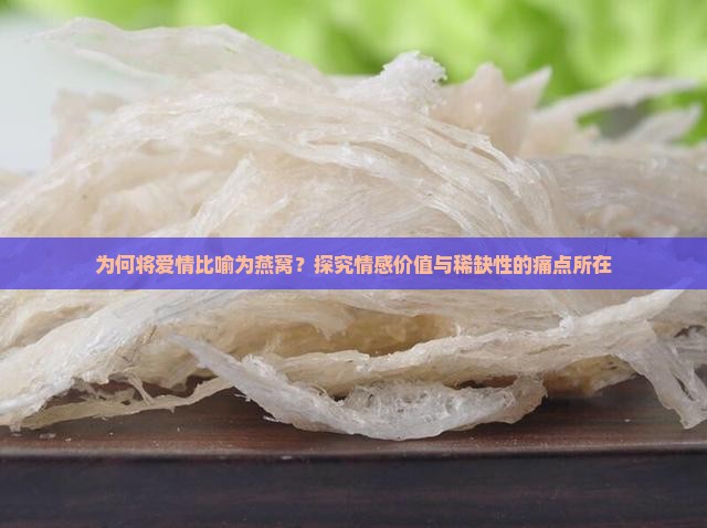 为何将爱情比喻为燕窝？探究情感价值与稀缺性的痛点所在