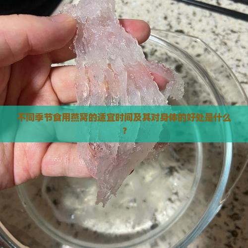 不同季节食用燕窝的适宜时间及其对身体的好处是什么？