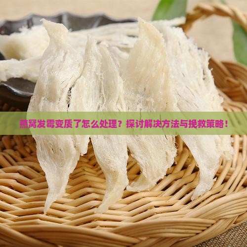 燕窝发霉变质了怎么处理？探讨解决方法与挽救策略！