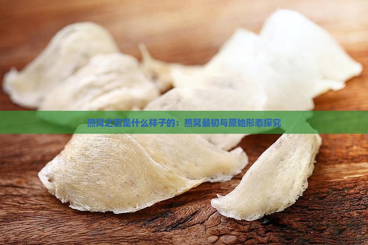 燕窝之前是什么样子的：燕窝最初与原始形态探究