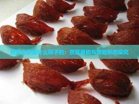 燕窝之前是什么样子的：燕窝最初与原始形态探究