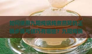 如何使用九阳炖锅炖煮燕窝的正确步骤与技巧有哪些？九阳炖锅炖燕窝需要注意哪些细节和窍门？
