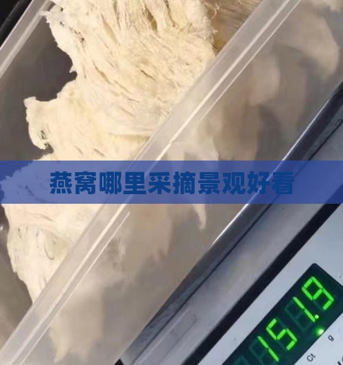 燕窝哪里采摘景观好看
