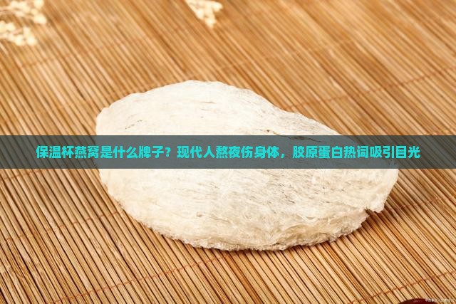 保温杯燕窝是什么牌子？现代人熬夜伤身体，胶原蛋白热词吸引目光