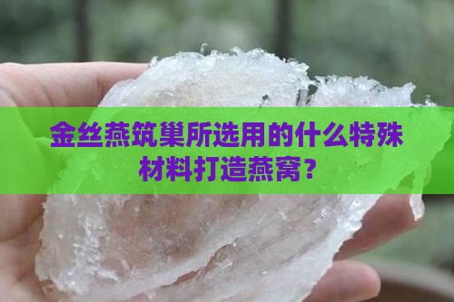金丝燕筑巢所选用的什么特殊材料打造燕窝？