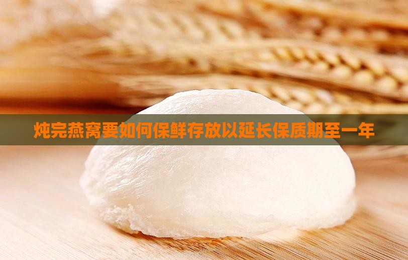 炖完燕窝要如何保鲜存放以延长保质期至一年