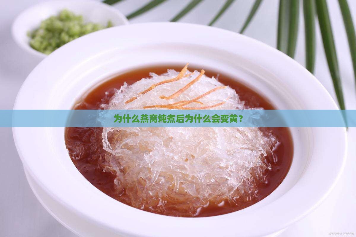为什么燕窝炖煮后为什么会变黄？
