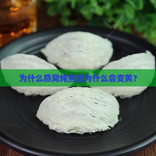 为什么燕窝炖煮后为什么会变黄？