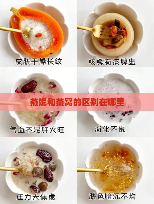 燕妮和燕窝的区别在哪里