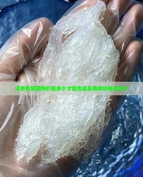 洋参燕窝团购价格多少才算合适及具体价格是多少