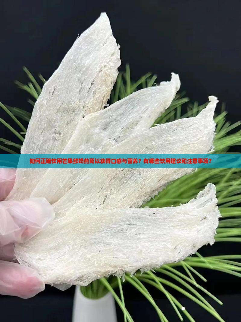 如何正确饮用芒果鲜奶燕窝以获得口感与营养？有哪些饮用建议和注意事项？