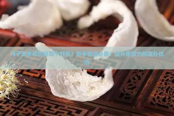 月子海参和燕窝哪个好些？新手爸妈必看：提升免疫力的滋补优选