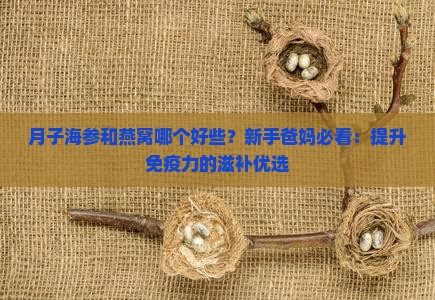 月子海参和燕窝哪个好些？新手爸妈必看：提升免疫力的滋补优选