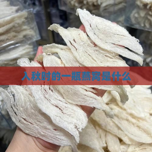 入秋时的一瓶燕窝是什么