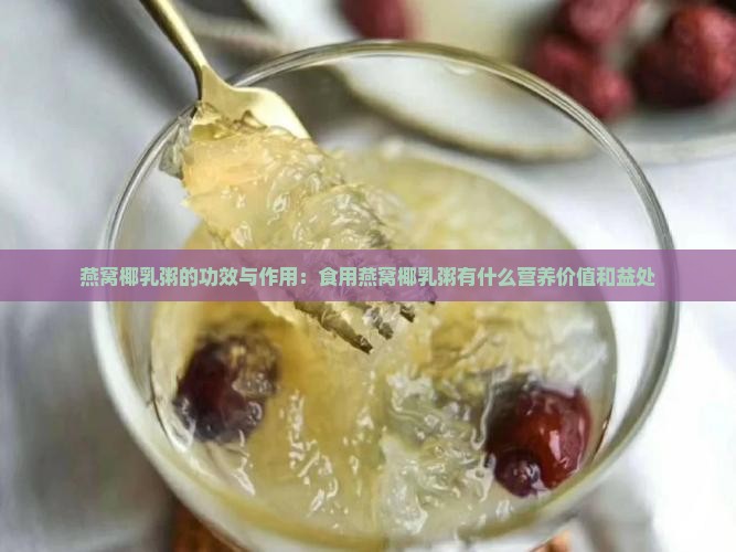 燕窝椰乳粥的功效与作用：食用燕窝椰乳粥有什么营养价值和益处