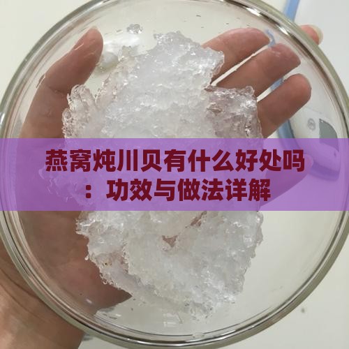 燕窝炖川贝有什么好处吗：功效与做法详解