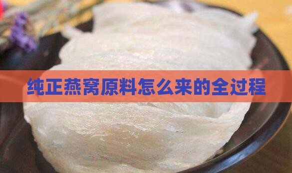 纯正燕窝原料怎么来的全过程