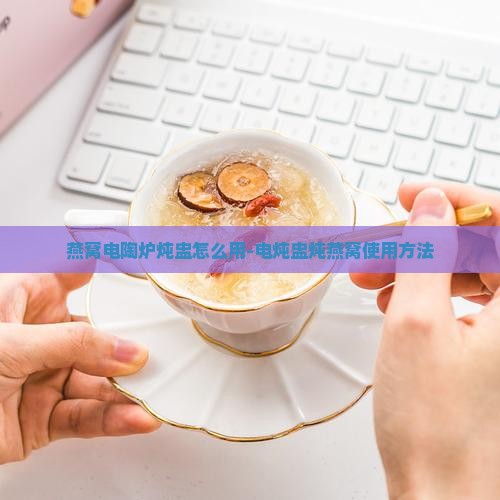 燕窝电陶炉炖盅怎么用-电炖盅炖燕窝使用方法