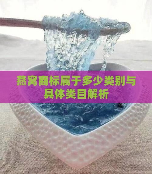 燕窝商标属于多少类别与具体类目解析