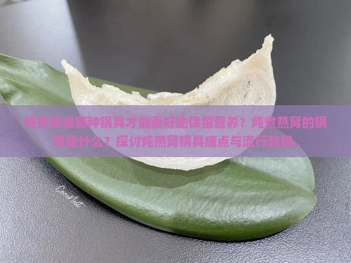 炖燕窝选哪种锅具才能更好地保留营养？炖煮燕窝的锅具是什么？探讨炖燕窝锅具痛点与流行趋势。