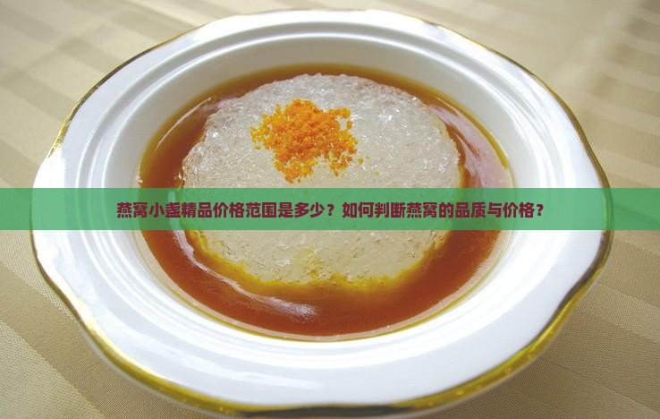 燕窝小盏精品价格范围是多少？如何判断燕窝的品质与价格？
