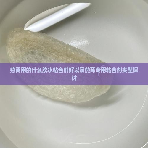 燕窝用的什么胶水粘合剂好以及燕窝专用粘合剂类型探讨