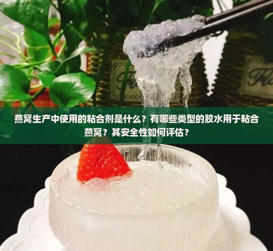 燕窝生产中使用的粘合剂是什么？有哪些类型的胶水用于粘合燕窝？其安全性如何评估？