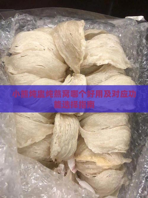 小熊炖盅炖燕窝哪个好用及对应功能选择指南