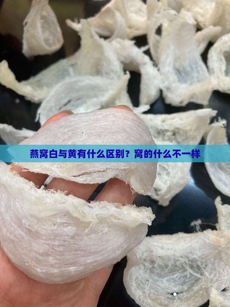 燕窝白与黄有什么区别？窝的什么不一样