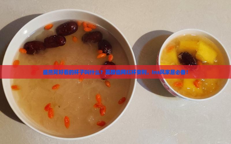 盛燕窝好看的杯子叫什么？高颜值网红杯安利，Ins风家居必备！