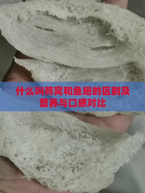什么叫燕窝和鱼翅的区别及营养与口感对比