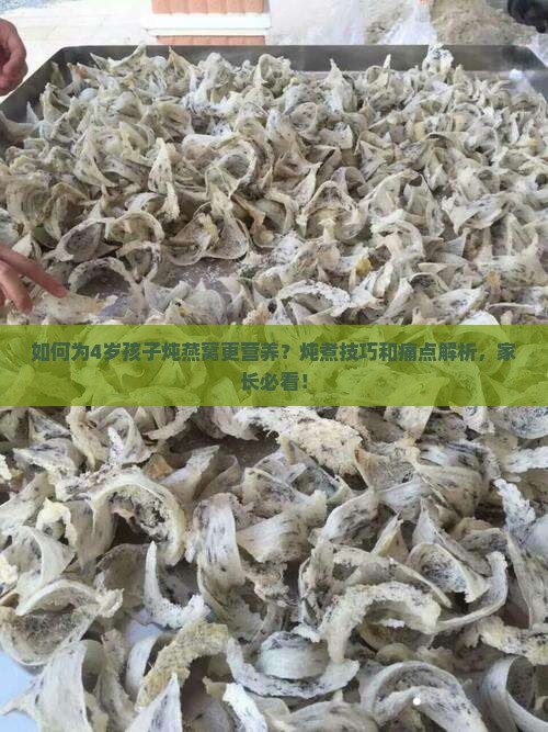 如何为4岁孩子炖燕窝更营养？炖煮技巧和痛点解析，家长必看！