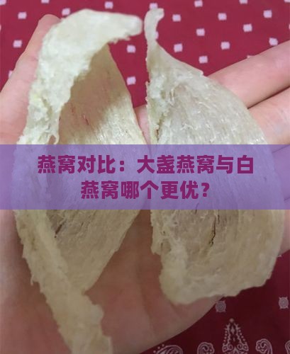 燕窝对比：大盏燕窝与白燕窝哪个更优？