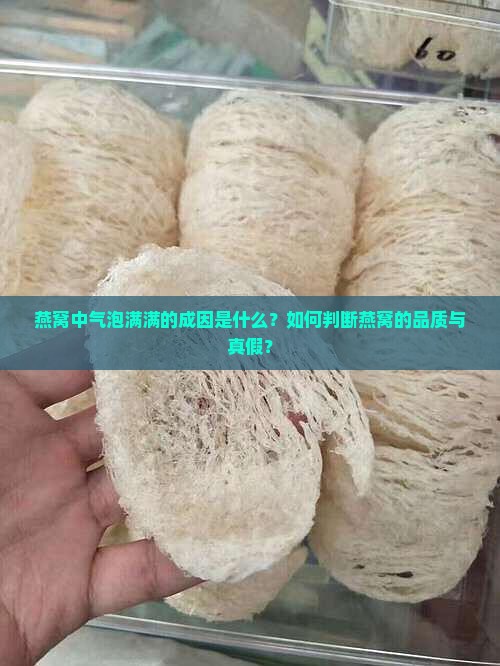 燕窝中气泡满满的成因是什么？如何判断燕窝的品质与真假？