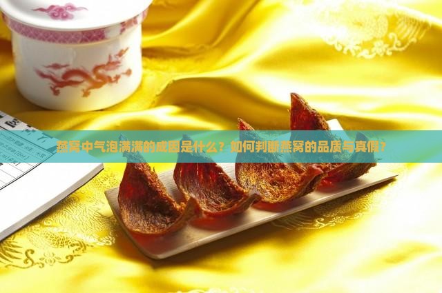 燕窝中气泡满满的成因是什么？如何判断燕窝的品质与真假？