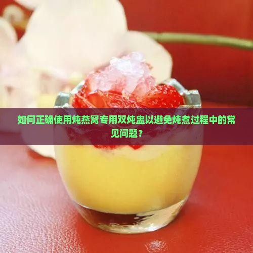 如何正确使用炖燕窝专用双炖盅以避免炖煮过程中的常见问题？