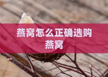 燕窝怎么正确选购燕窝