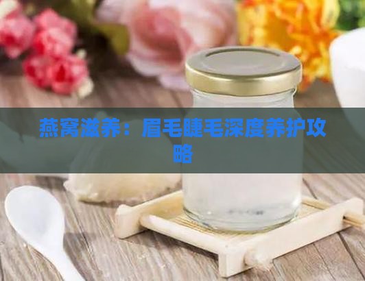 燕窝滋养：眉毛睫毛深度养护攻略