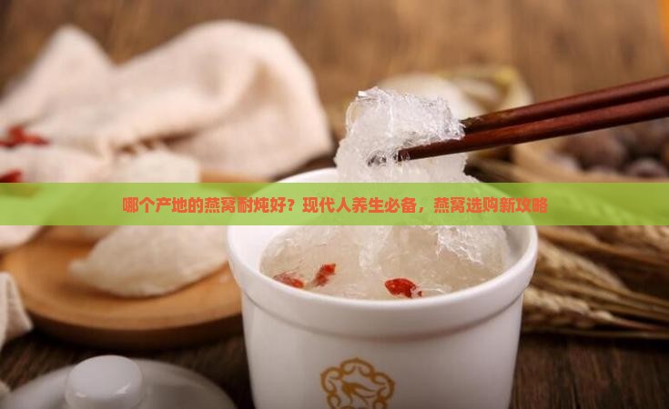 哪个产地的燕窝耐炖好？现代人养生必备，燕窝选购新攻略