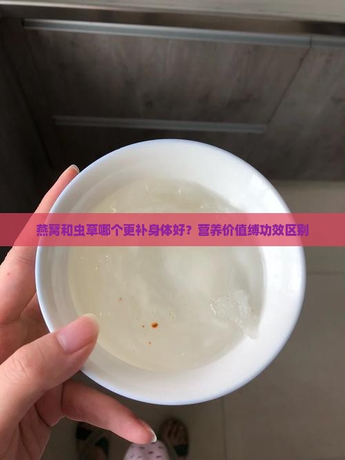 燕窝和虫草哪个更补身体好？营养价值缚功效区别